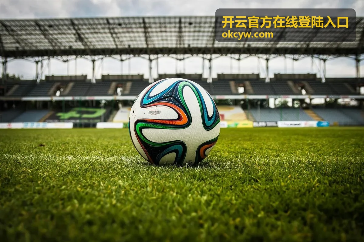 开云官方在线登陆入口通道示意画面