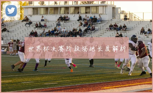 世界杯决赛阶段场地长度解析