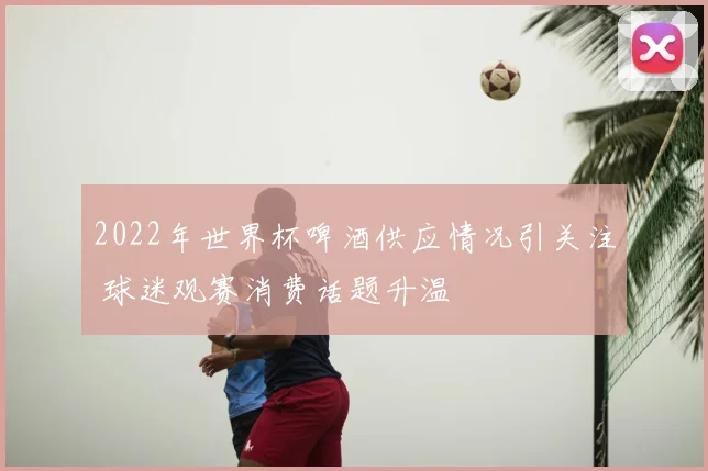 2022年世界杯啤酒供应情况引关注 球迷观赛消费话题升温