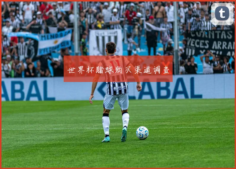 世界杯赌球购买渠道调查