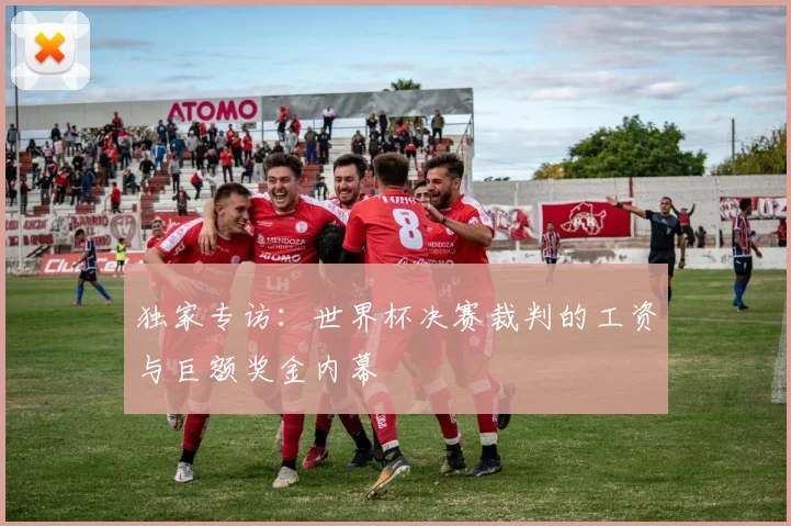 独家专访:世界杯决赛裁判的工资与巨额奖金内幕