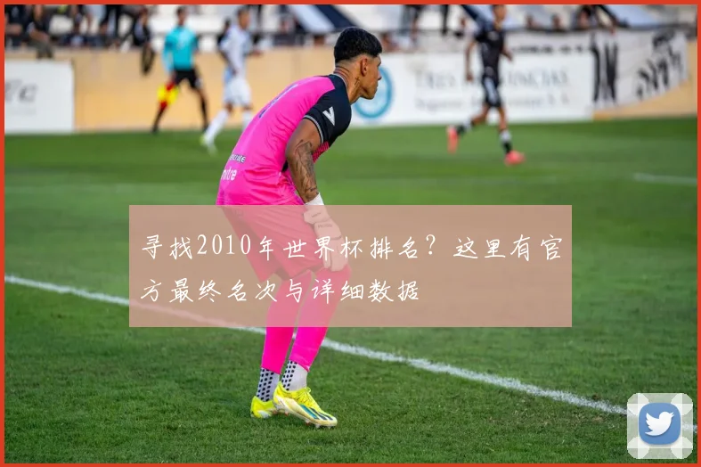 寻找2010年世界杯排名？这里有官方最终名次与详细数据