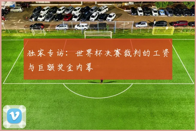 独家专访：世界杯决赛裁判的工资与巨额奖金内幕