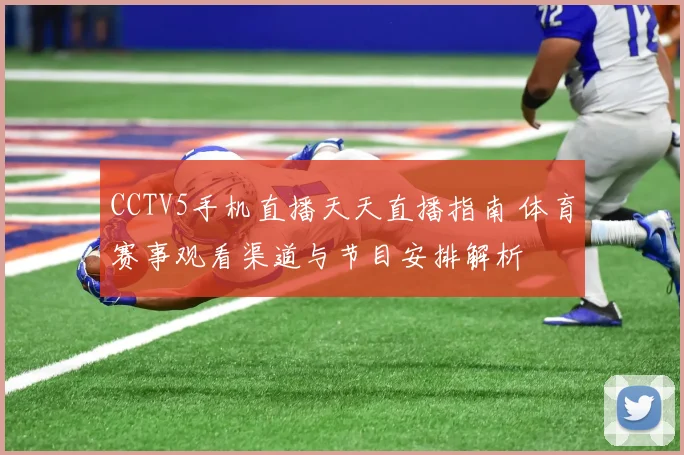 CCTV5手机直播天天直播指南 体育赛事观看渠道与节目安排解析