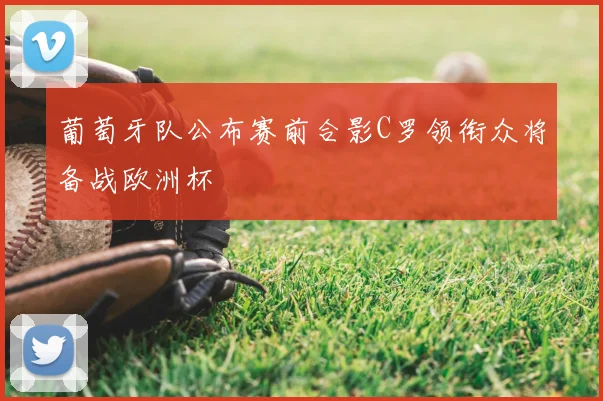 葡萄牙队公布赛前合影C罗领衔众将备战欧洲杯